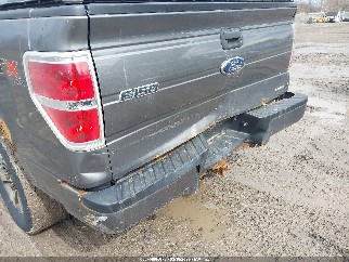 2013 Ford F-150, VIN 1FTFX1EF9DFB65606. Фото 6 з 6 з аукціону IAAI. Каталог авто зі США OpenDataCar.