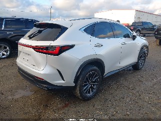 2023 Lexus NX 250, VIN JTJADCAZ1P2006666. Фото 4 з 6 з аукціону IAAI. Каталог авто зі США OpenDataCar.