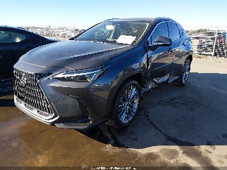 2023 Lexus NX 350, VIN 2T2GGCEZ1PC016173. Фото 2 з 6 з аукціону IAAI. Каталог авто зі США OpenDataCar.