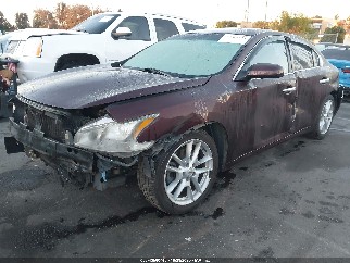 2014 Nissan Maxima, VIN 1N4AA5AP7EC439248. Фото 2 з 6 з аукціону IAAI. Каталог авто зі США OpenDataCar.
