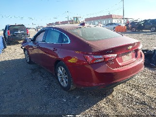2019 Chevrolet Malibu Limited, VIN 1G1ZD5STXKF114256. Фото 3 з 6 з аукціону IAAI. Каталог авто зі США OpenDataCar.