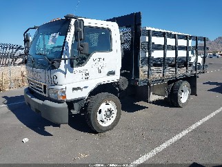 2006 Ford LCF, VIN 3FRML55Z66V231243. Фото 2 из 6 с аукциона IAAI. Каталог авто из США OpenDataCar.