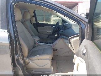 2014 Ford Escape, VIN 1FMCU0GX7EUE51605. Фото 5 з 6 з аукціону IAAI. Каталог авто зі США OpenDataCar.