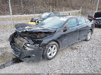2019 Chevrolet Malibu, VIN 1G1ZC5ST0KF182293. Фото 2 з 6 з аукціону IAAI. Каталог авто зі США OpenDataCar.