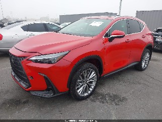 2025 Lexus NX 350h, VIN 2T2GKCEZ4SC042046. Фото 2 из 6 с аукциона IAAI. Каталог авто из США OpenDataCar.