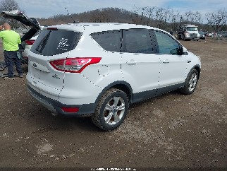 2014 Ford Escape, VIN 1FMCU0GX8EUE28186. Фото 4 з 6 з аукціону IAAI. Каталог авто зі США OpenDataCar.