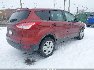 2015 Ford Escape, VIN 1FMCU0F70FUC57064. Фото 4 з 6 з аукціону IAAI. Каталог авто зі США OpenDataCar.