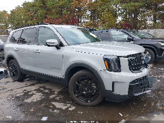 2024 Kia Telluride, VIN 5XYP3DGC6RG432189. Фото 1 з 6 з аукціону IAAI. Каталог авто зі США OpenDataCar.