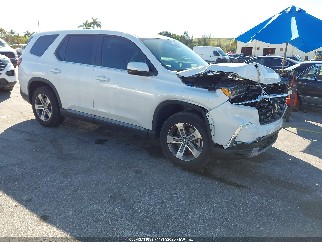 2024 Honda Pilot, VIN 5FNYG1H40RB048222. Фото 1 з 6 з аукціону IAAI. Каталог авто зі США OpenDataCar.
